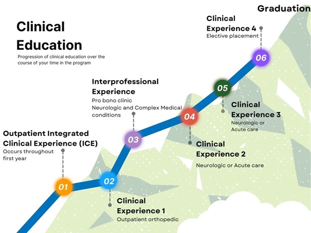 Clinical Education chart